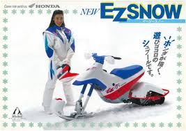 Image result for Arctic White 1973 Snowmobile
