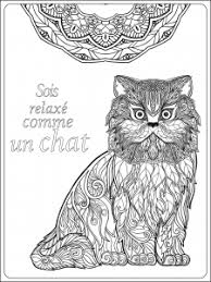 Bon, à vous de colorier ce dessin de hibou. Chats Coloriages Difficiles Pour Adultes Page 2