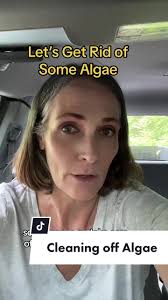 How to Clean A Driveway with Algae Diy