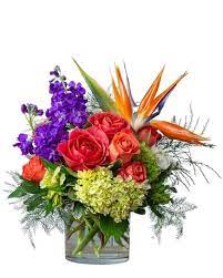 Maybe you would like to learn more about one of these? Coral Sunrise In Cleveland Oh Segelin S Florist