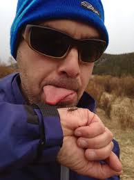 Hank Patterson (@FlyFisherHank)