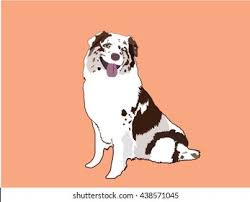Maybe you would like to learn more about one of these? Australian Shepherd Cartoon Stock Vector Royalty Free 438571045