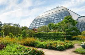 Maybe you would like to learn more about one of these? Events Archive Garfield Park Conservatory