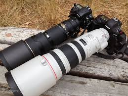 Canon 100 400 Ii With 1 4 Extender Late In 2012 I Wrote A Short Op Ed Blog Piece About The Pending Release Of Canon S New 200 400mm F4l Is Len Camera Lenses Canon Camera Photography Dslr Camera
