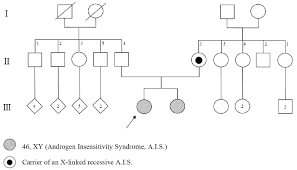 Androgen insensitivity syndrome (ais) is when a person who is genetically male (who has one x and one y chromosome) is resistant to male hormones (called androgens). Family Pedigree Of Androgen Insensitivity Syndrome Download Scientific Diagram
