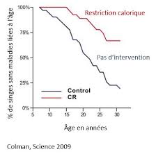 Mais ils n'ont pas toujours le recul nécessaire pour estimer la valeur des informations qu'ils partagent avec le monde entier. Sante Benefices Et Dangers Du Jeune Intermittent Et De La Restriction Calorique Quoi Dans Mon Assiette