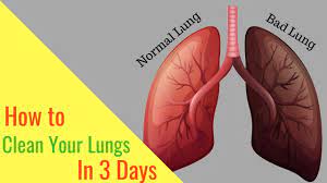 There's little things you can ways to clear the lungs. How To Clean Your Lungs In 3 Days Youtube