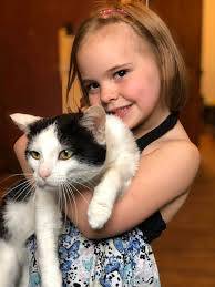 Sterling Park missing cat Cairo, no collar