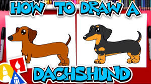 Average height of the mature dog is between 8 and 9 inches at the withers. How To Draw A Dachshund Youtube