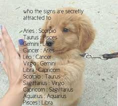 Pin By Intellectualweeb Exe On Screenshots Zodiac Signs Sagittarius Zodiac Signs Leo Zodiac Signs