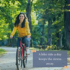 Dick Wilkinson (@dicksbicyclerepairshop) • Instagram photos and videos