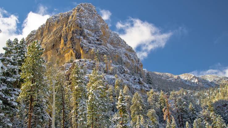 Spring Mountains National Recreation Area | Mary Jane Falls