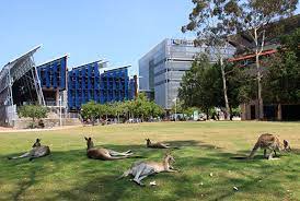 University of sunshine coast en quelques mots. University Of The Sunshine Coast College Learners