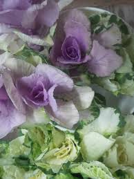 Send a fresh floral gift to someone you care about, anywhere in santa barbara, ca. Bvp 4k8mf0upcm