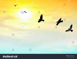 Cartoon Picture Of Birds Flying In The Sky Silhouette Birds Are Flying With Blurred Beautiful Sunrise Sky Background On Animals Wildlife With Peaceful Beautiful Sunrise Beautiful Backgrounds Photo Image