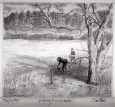 Picking Fiddleheads Pencil Drawings Of Nature Landscape Drawings Beautiful Pencil Drawings