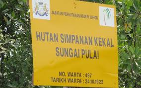 Permohonan adalah diperlawa kepada seluruh rakyat negeri perak untuk mengisi kerja kosong jabatan perhutanan negeri perak. Johor Failed To Protect Mangroves Putrajaya Must Step In Says Group Free Malaysia Today Fmt