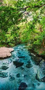Primitive campsites on rock springs run and the wekiva river are accessible by canoe only. Rock Springs 8 Central Florida Florida Landscape Photography By Richard Auger