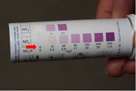 Posts Tagged Quick Nitrate Test Ucce Monterey County