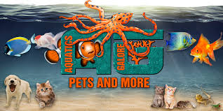 Educated petco partners are available to answer questions regarding the saltwater fish available for sale, care required and essential saltwater fish supplies. Ohio S Largest Selection Of Saltwater Freshwater Fish Aquatics Galore