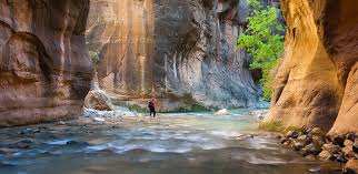 Don't miss the chance to see a professional broadway style show in an unforgettable setting. Top 10 Things To Do At Zion National Park Utah Com