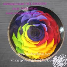 Drying and preserving flowers and plant materials for. Peach Puff Glycerin Preserved Flowers For Artificial Flower Arrangements Buy Preserved Rose Head Flower Wholesale Preserved Roses Cheapest Wholesale Preserved Roses Flowers Product On Alibaba Com