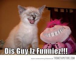 images?q=tbn:ANd9GcQR59imBI2lfXdvP8_qcgh