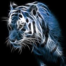 App developed by thalia photo art studio file size 16.78 mb. 32654p2 Neon Tiger Wallpaper Download The Best Wallpaper For Android 1024x1024 Wallpaper Teahub Io