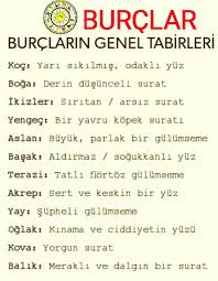 Seyfullah Pamukcu Adli Kullanicinin Yay Burcu Burclar Panosundaki Pin Burclar Ikizler Yay Burcu