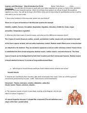 Anatomy And Physiology Pogil Anatomy And Physiology U2013 Muscle Introduction Pogil Name Sofia Rivera 2nd P Instructions You Will Have 20 Minutes To Course Hero