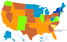 Image result for Malouetia bequaertiana