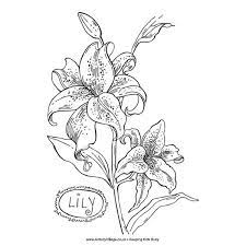 757x600 realistic flower coloring pages bouquet flowers colouring sheets. Springtime Spotlight Five Free Sites With Flower Coloring Sheets Bright Hub