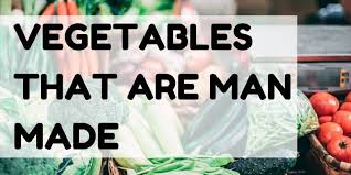 5 Vegetables That Are Man Made 4 Will Surprise You