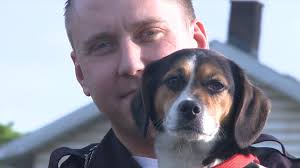 Abandoned house call leads to Struthers police officer adopting dog