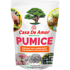 Out of 5 starswrite a review. Casa De Amor Pumice Soil Amendment For Bonsai Succulents Plants 900 Grams Amazon In Garden Outdoors