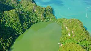 We did not find results for: Mitos Kesuburan Di Danau Dayang Bunting