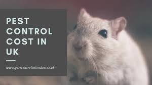 Requires purchase of a new annual residential pest control plan. How Much Does Pest Control Cost In The Uk Pest Exterminators