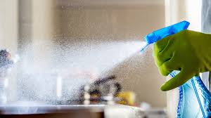 Where To Buy Lysol Spray And Other Disinfectant Cleaners