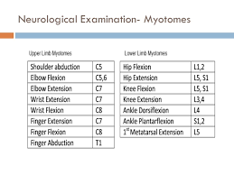 Image Result For Lower Extremity Dermatomes And Myotomes