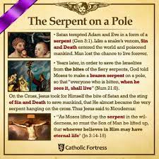 Pin On Catholics Know The Answers