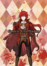 Godric Gryffindor | Harry Potter Wiki | Fandom