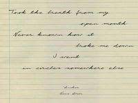 State Lines Novo Amor Picture Collage Wall Picture Collage Songs