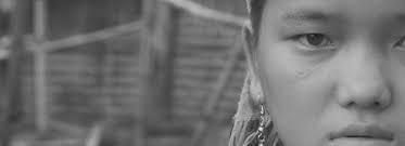 Diversity in parliament: