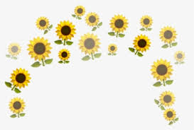 But for this powerpoint template, the artist tried to be as much creative as he could be by blending all the colors within his sunflowers. Sunflower Tumblr Png Images Free Transparent Sunflower Tumblr Download Kindpng
