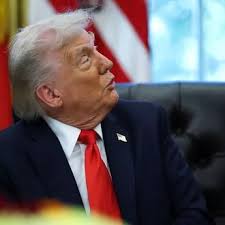 Man goes for a joyride