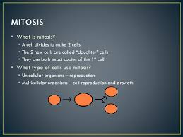 Check spelling or type a new query. Mitosis And Meiosis Eoc Review Ppt Download