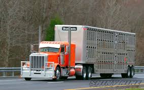 Image result for Omaha Orange 2018 Fleet