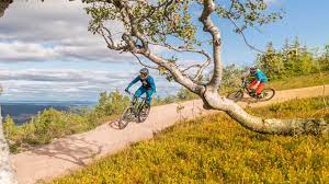Salen Bikepark Ligger I Gustavbacken Cykeln Tar Du Med Dig Upp I Liften Har Finns Leder For Barn Nyborjare Och For Den Som Soker En Stor Whistler Sal Sommar