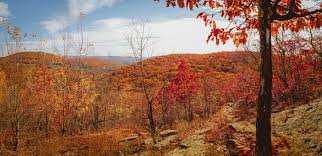 This place is near to kent falls and macedonia brook state park. Best Hike For Fall Foliage In Ct Macedonia Brook State Park Svadore