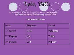 Irregular Verbs By Caitlyn Ecock Ppt Download